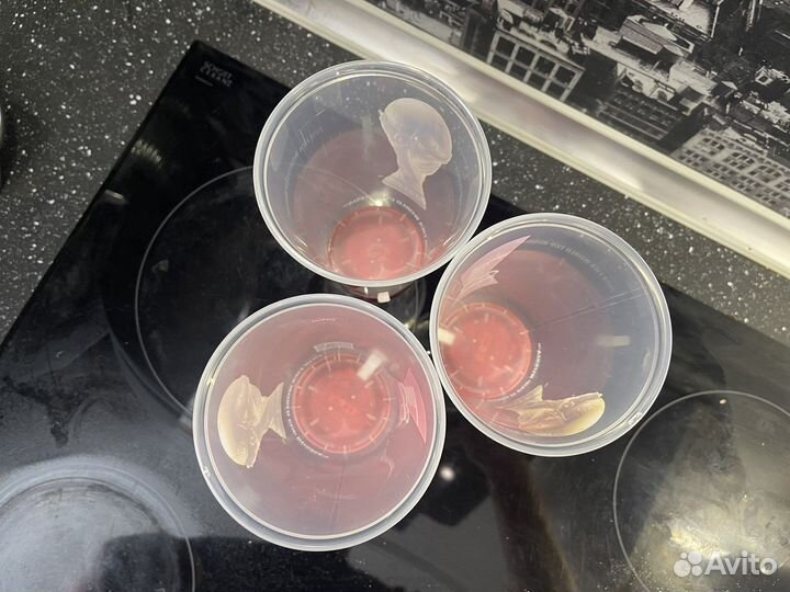 Стакан 2018 FIFA world CUP Russia