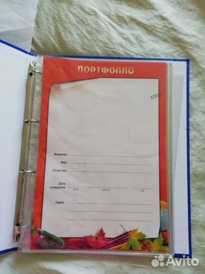 Портфолио школьника