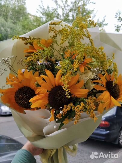 Подсолнух декоративный