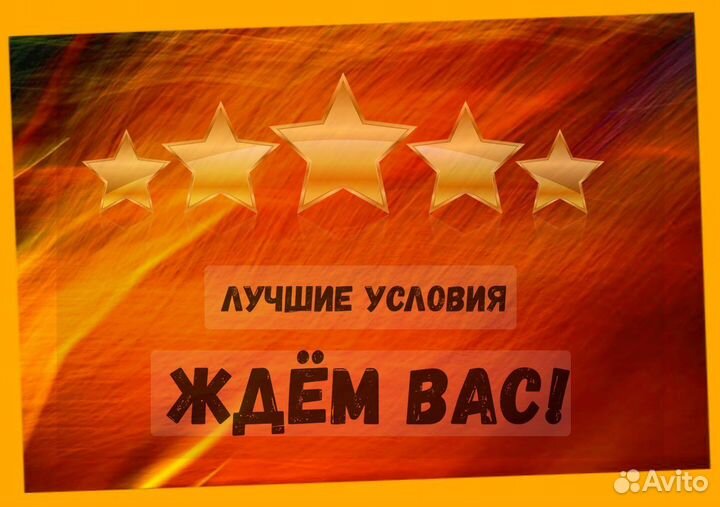 Мойщик Вахта Жилье /Еда Выплата еженедельно +Отл.У