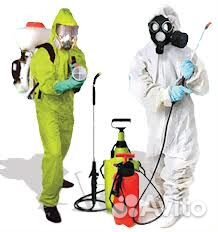 Уничтожение клопов, тараканов, муравьев