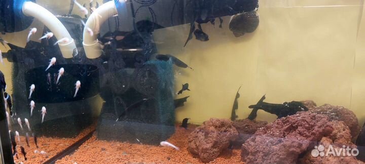 Украшение для аквариума