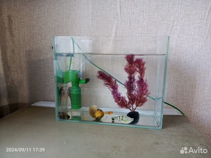 Аквариум с рыбками
