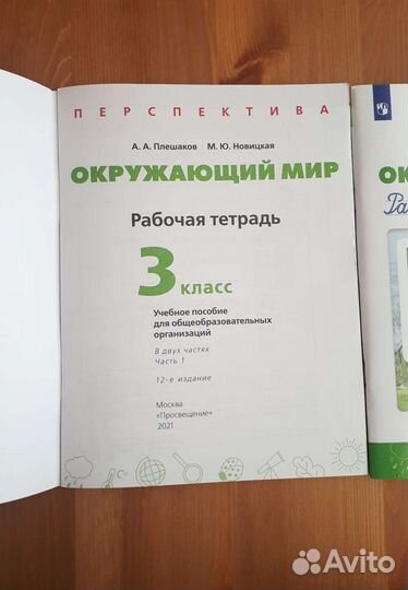 Рабочие тетради Окружающий мир 3 класс Плешаков ч1