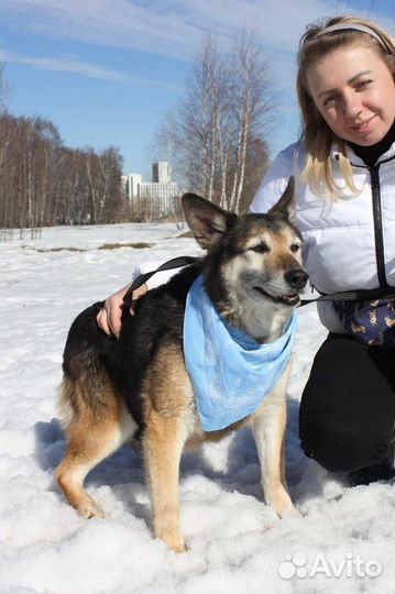 Застегчивый и робкий Зайчик поладит со всеми