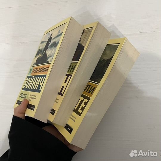 Грозовой перевал, гордость и преулпрежденик, овод