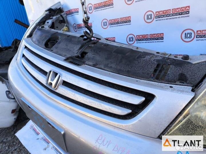 Nose cut honda stream