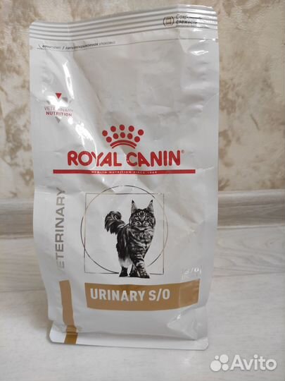 Сухой корм для кошек royal canin