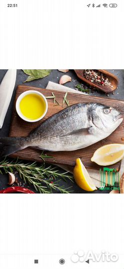 Сибас, Дорадо