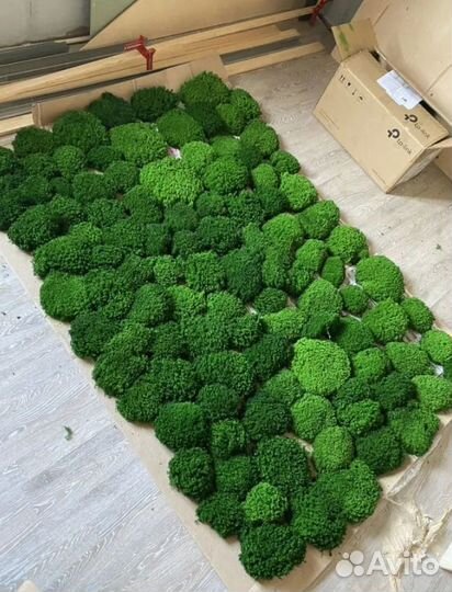 Ягель Королевский премиум moss