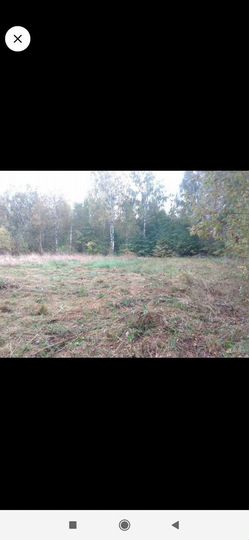 Участок 30 сот. (ИЖС)