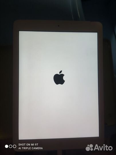 iPad Air (Wi-Fi+Cellular)