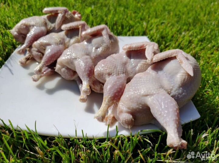 Мясо перепелов