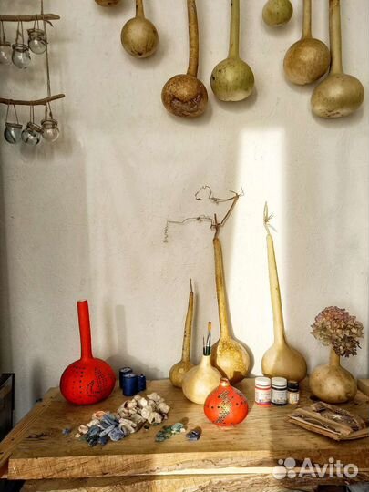 Плоды лагенарии - бутылочной тыквы