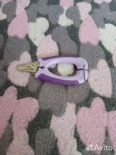 Одежда и обувь для собаки