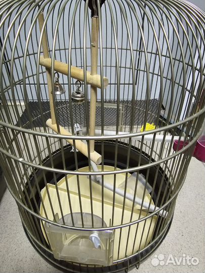 Клетка для попугая бу