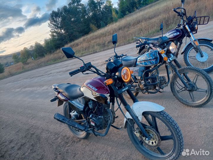 Рейсер Тигр