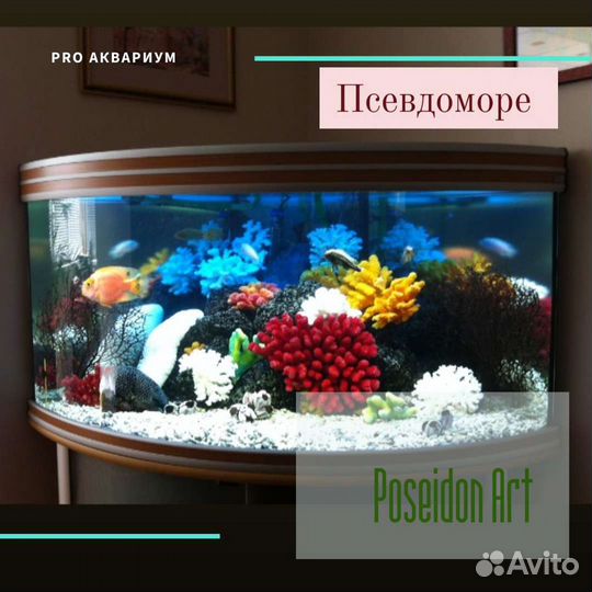 Обслуживание/ чистка/ дизайн/изготовление аквариум