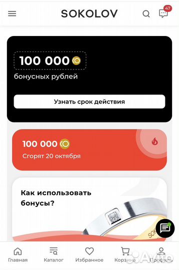 100000 бонусов - sokolov