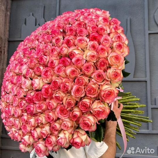 Букеты из 301 роз, 201 роз /Цветы /Доставка