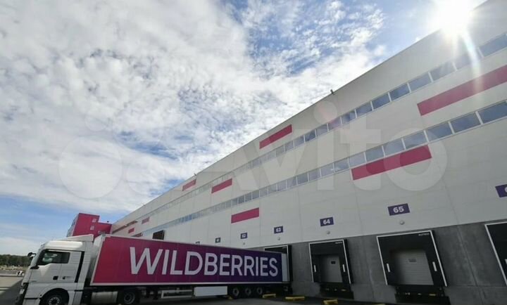 Участок 100 сот. (промназначения)