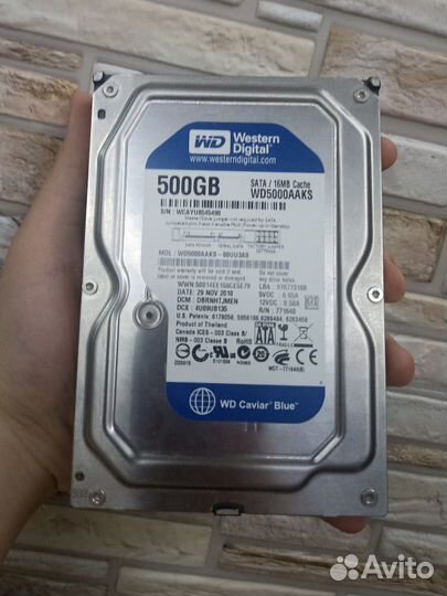 Жёсткий диск Wd blue 500gb