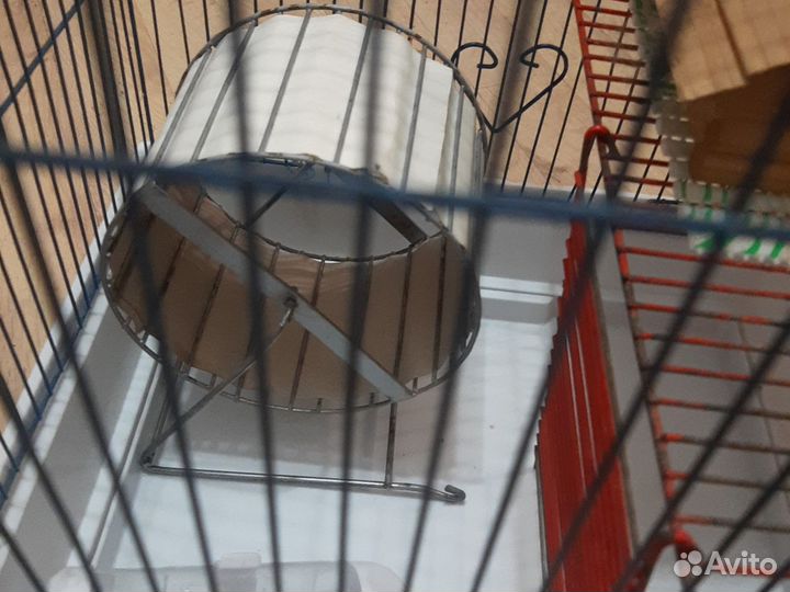 Клетка для хомяка со всеми удобствами