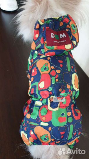 Одежда для собак