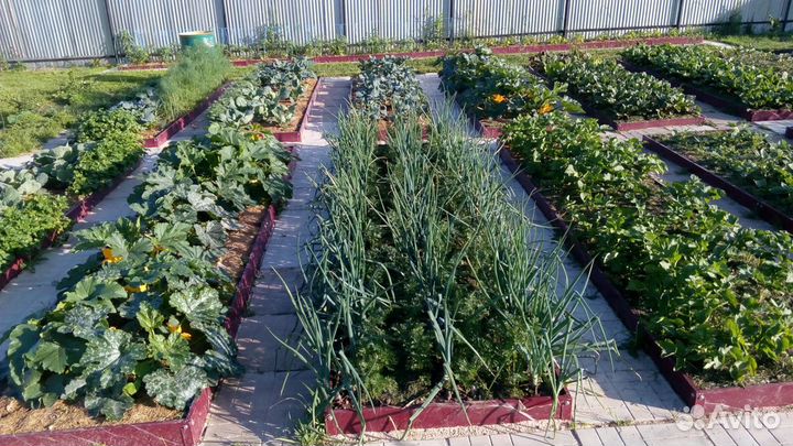 Оцинкованные грядки купить у производителя