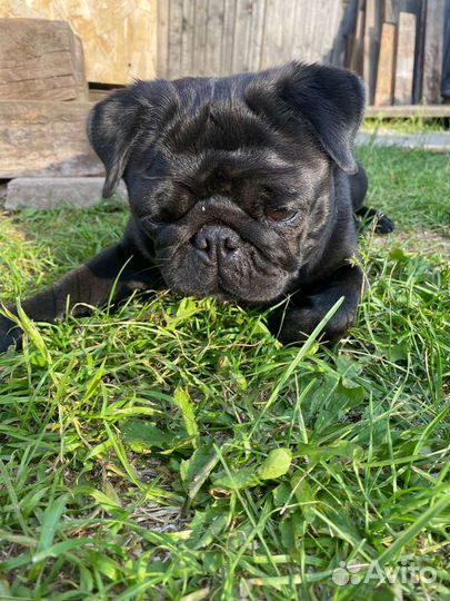 Ищем жениха