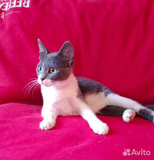 Меня бросили ищу семью