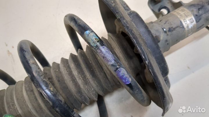 Амортизатор подвески Acura TLX, 2020