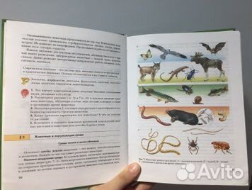 Биология 7 класс константинов