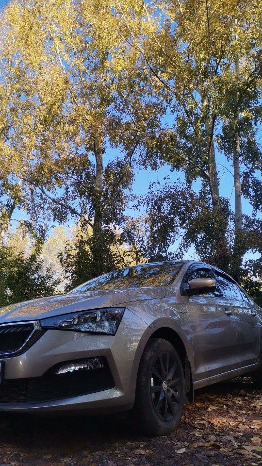 Skoda Rapid: фото владельца
