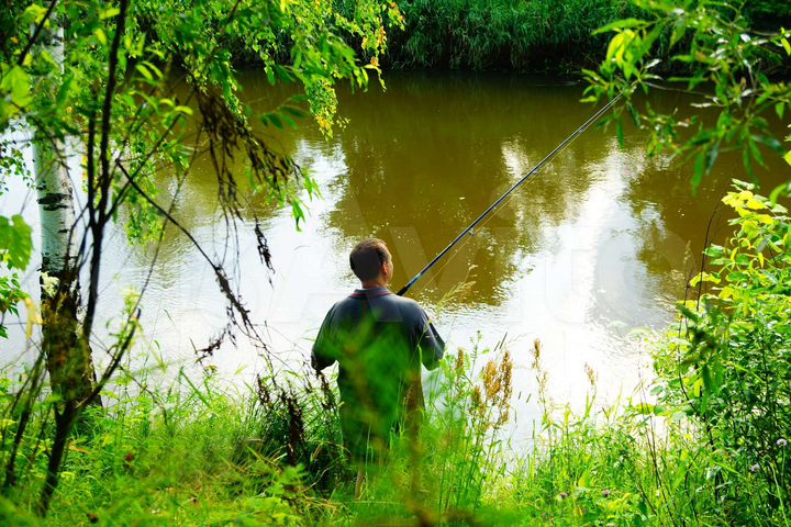 Участок 10 га (СНТ, ДНП)
