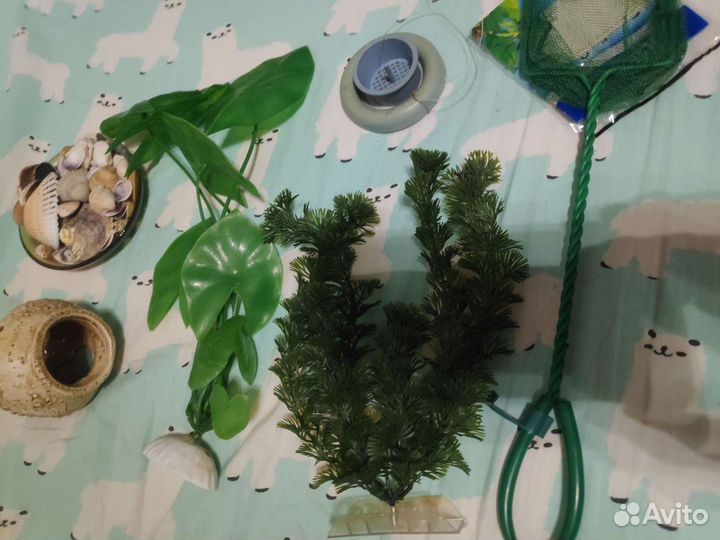 Растения для аквариума