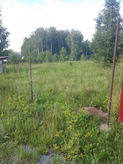 Участок 10 сот. (СНТ, ДНП)