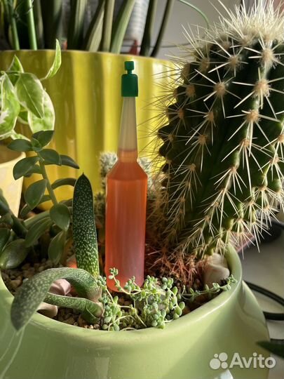 Удобрение японское для орхидей, суккулентов