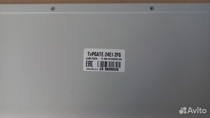 Eltex TopGate-24e1-2fg