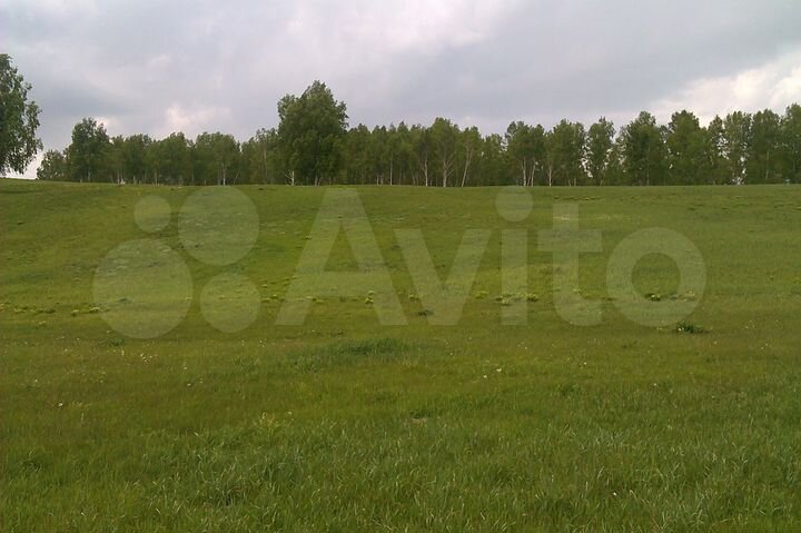 Участок 13,5 га (СНТ, ДНП)
