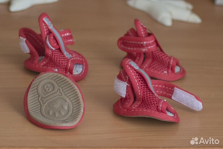 Сандали для собаки