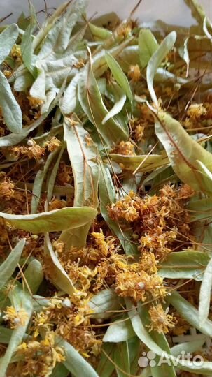 Липовый цвет