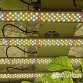 Как выбрать лампы для подсветки растений?