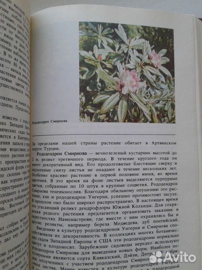 Редкие животные и растения