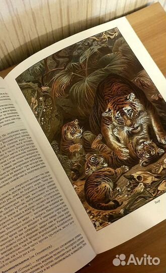 Жизнь животных Альфред Брэм