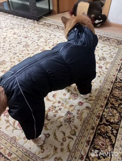 Комбинезон одежда для собак крупных средних мелких