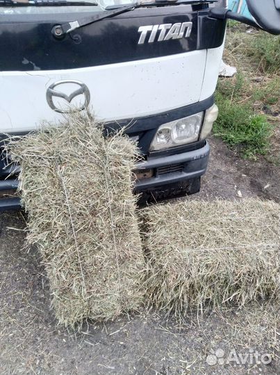 Сено в брикетах