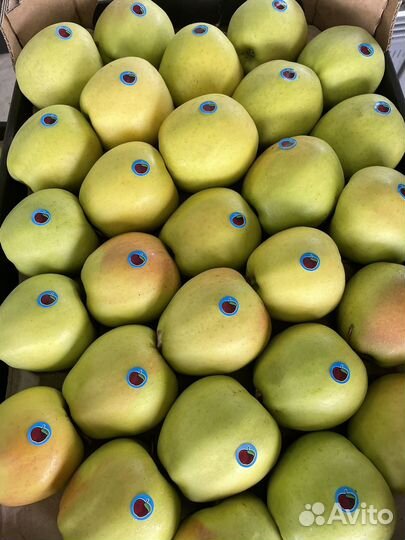 Яблоки опт доставка