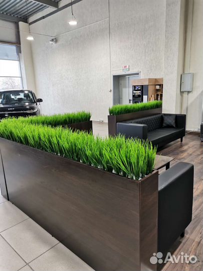 Трава искусственная осока растения