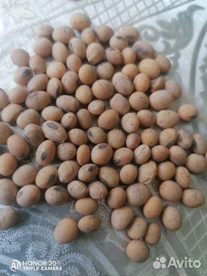 Соя Канадская под глифосат